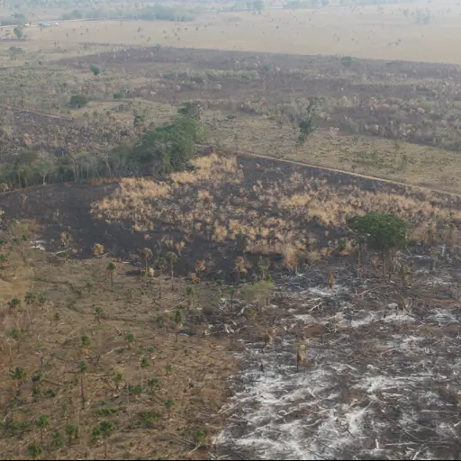 Incendios Petén Emisoras Unidas Guatemala ,