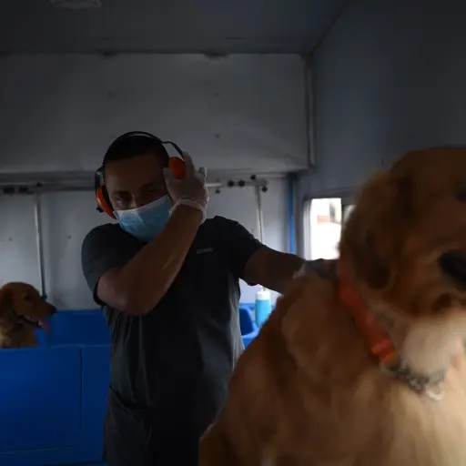 grooming pandemia Coronavirus Emisoras Unidas Guatemala ,