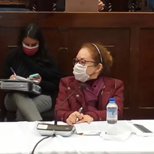 Viceministra de Salud indica que está en trámite pagos a médicos que atienden el COVID-19 