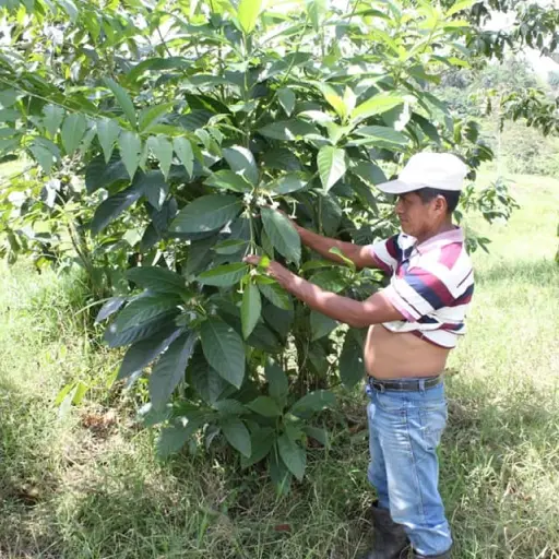Domingo-choc-asesinato-emisoras-unidas ,