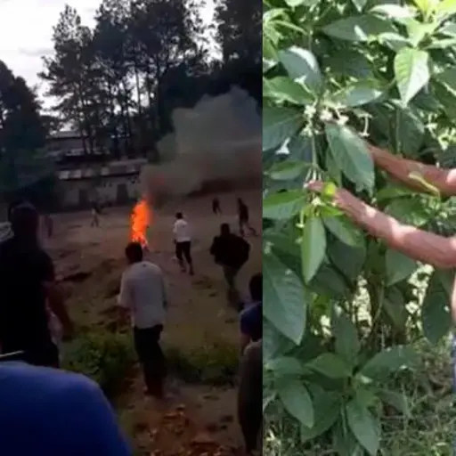 Periódico británico destaca muerte de Domingo Choc acusado de brujería