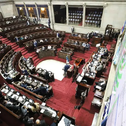 Diputados piden a la OEA dar acompañamiento ante crisis política en el país