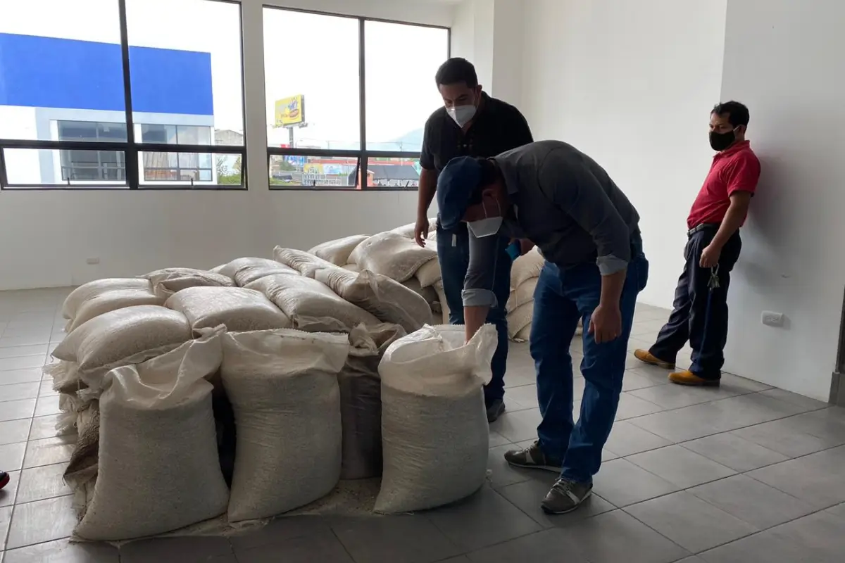 Encuentran en bodegas del Fodes maíz con gorgojo y aceite vencido 