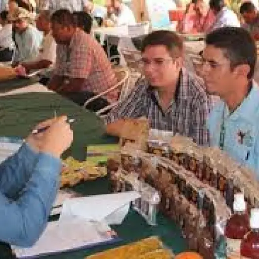 Las mipymes significan gran aporte en la economía nacional. ,