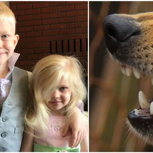 Instagram / @nicolenoelwalker / pixabay.com