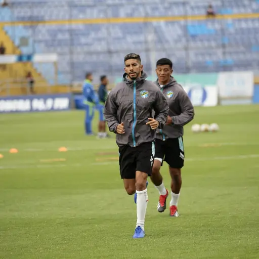 Gordillo-Podria-Jugar-Argentina ,