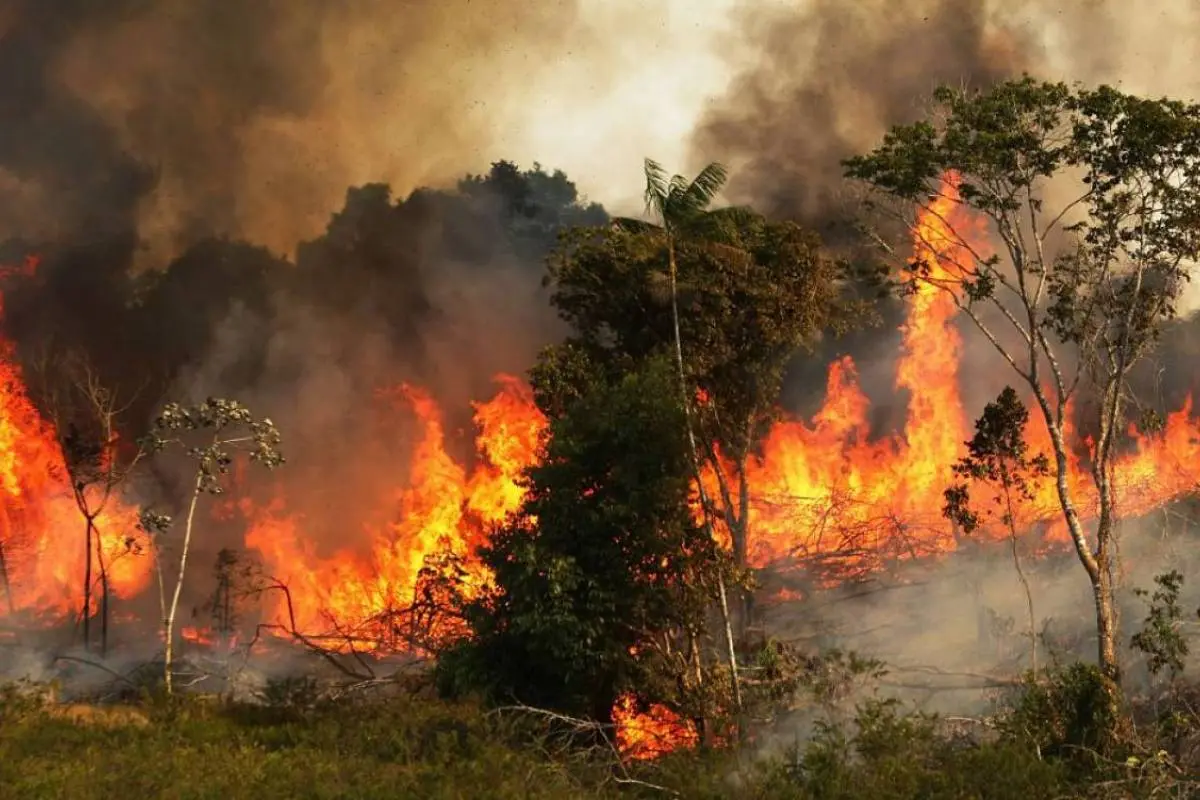 Amazonia-incendios-forestales, 