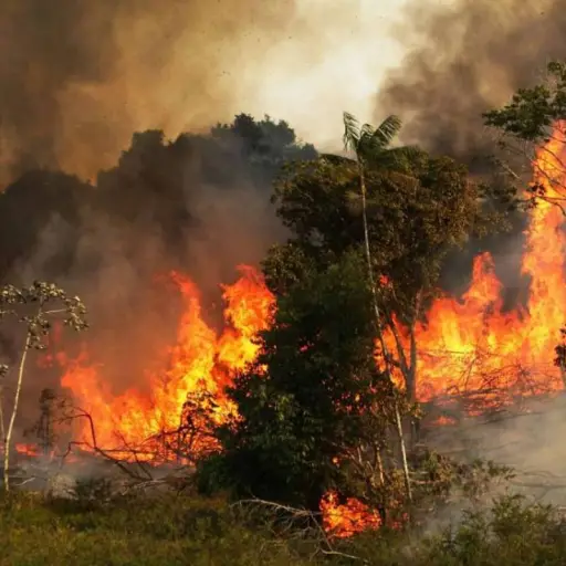 Amazonia-incendios-forestales ,