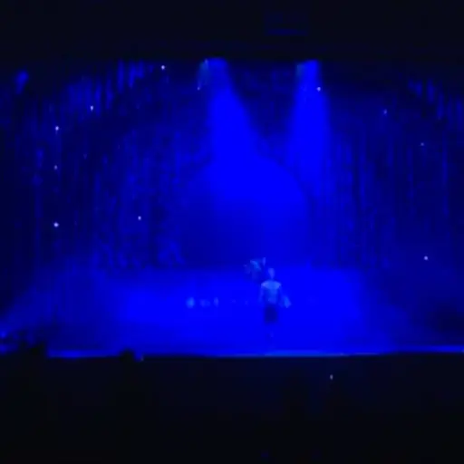 VIDEO | El Cirque du Soleil pide protección judicial para reestructurarse 