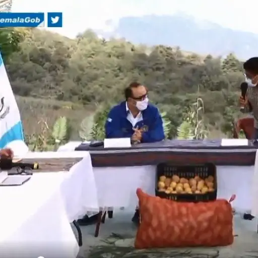 giammattei-agricultores-cultivo-papa ,