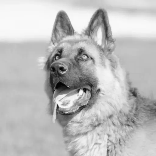 Imagen con fines ilustrativos | pixabay.com