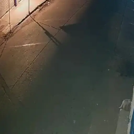 Instagram / @guatespantos