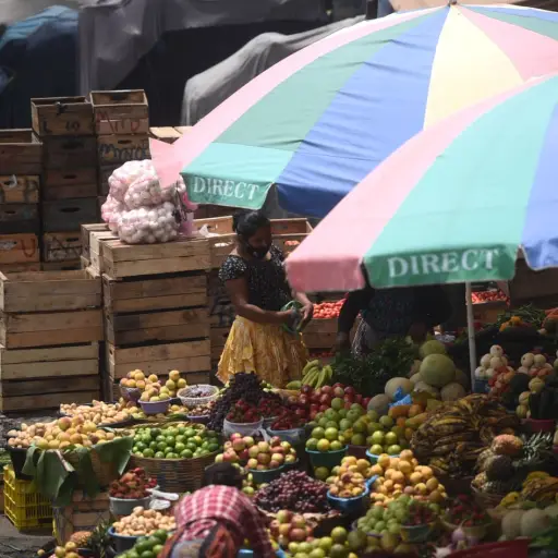 Foto de archivo: Edwin Bercián/EU