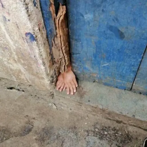 Rescatan a niños que dejaban encerrados todo el día