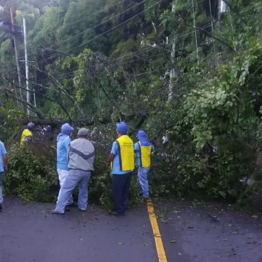 Foto ilustrativa de archivo.