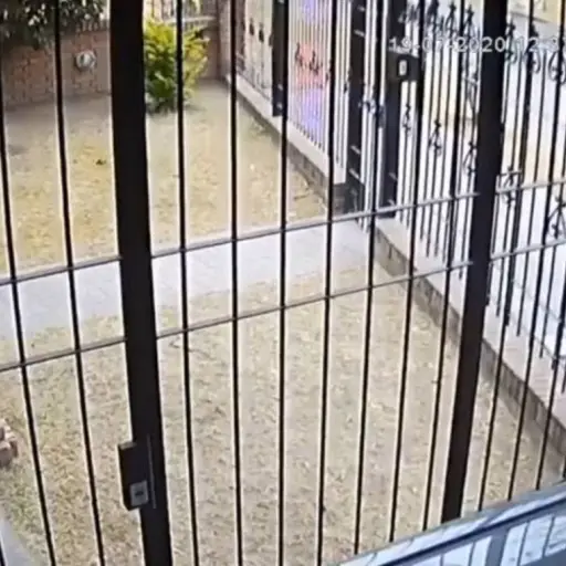 Captura de pantalla de Twitter