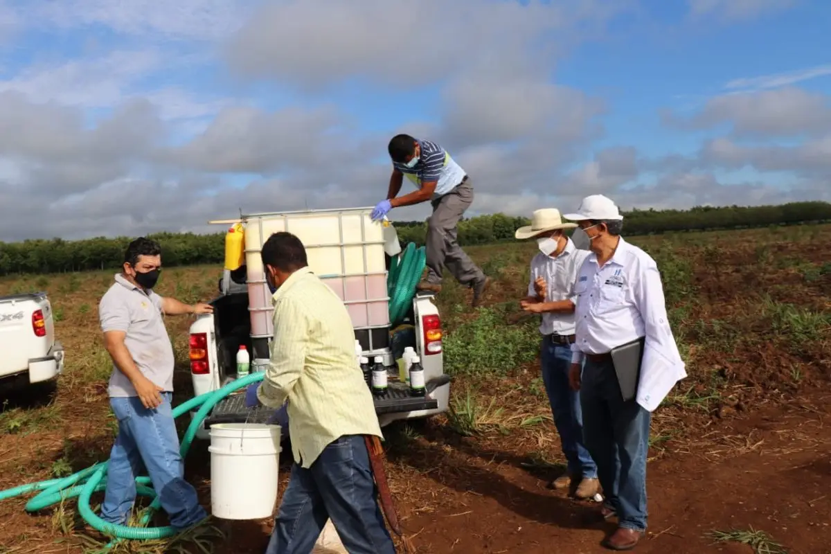 Foto: Ministerio de Agricultura