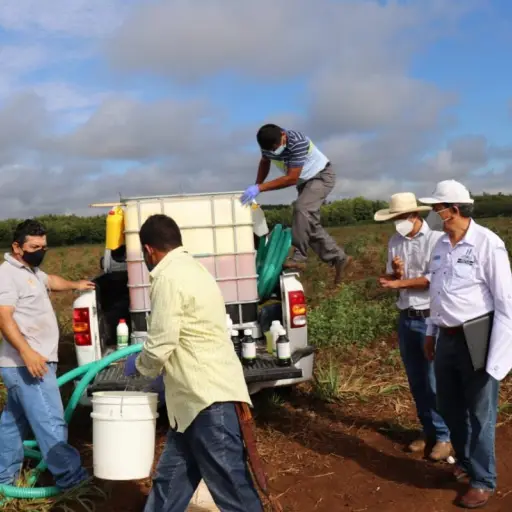 Foto: Ministerio de Agricultura