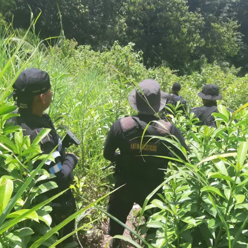 estado de sitio-izabal-rechazo ,