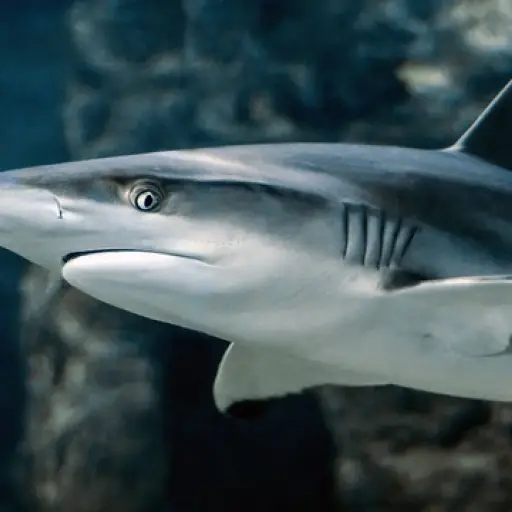 Imagen con fines ilustrativos | pixabay.com