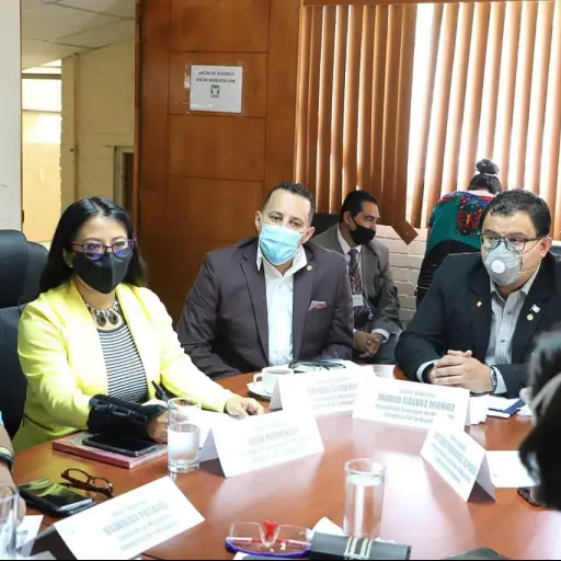 Comisión del Migrante ,