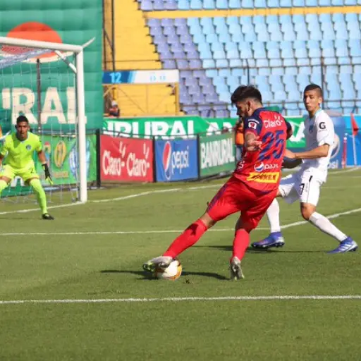 Grupos-Municipal-Comunicaciones-Apertura-2020 ,