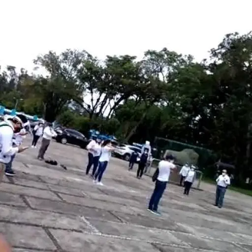 calusac-usac-crisis ,