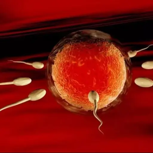 Esperma-cientificos ,