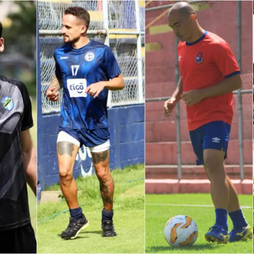 altas.bajas-apertura-2020 ,