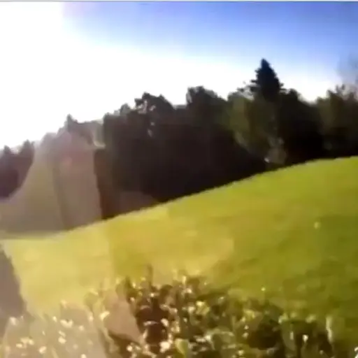 Captura de pantalla de Twitter