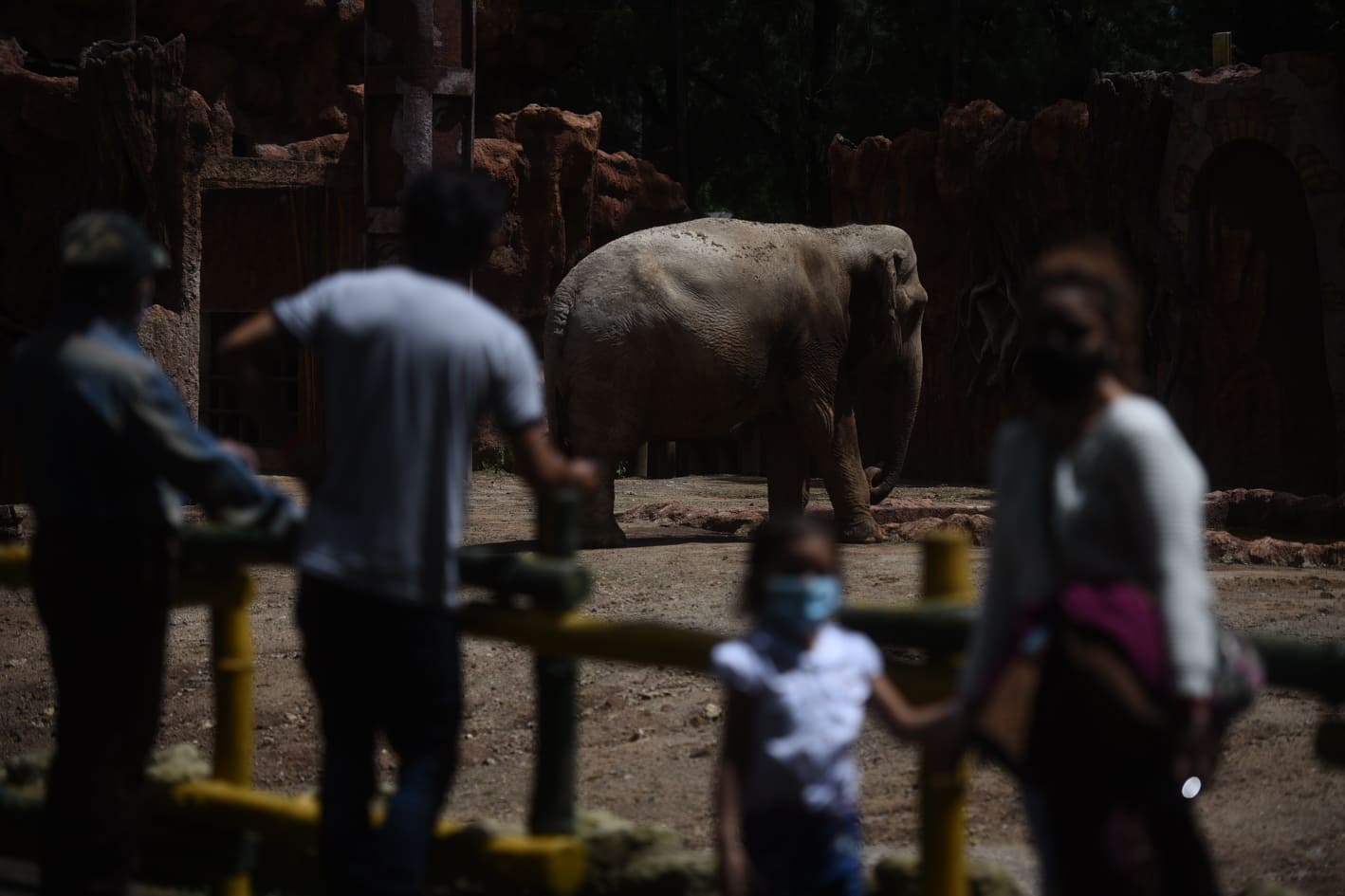 zoologico-la-aurora-visitantes-pandemia-emisoras-unidas4 | 