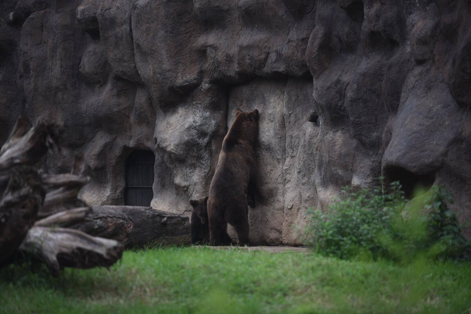 zoologico-la-aurora-abre-pandemia-emisoras-unidas22 | 