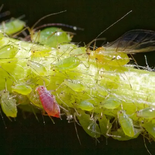 Imagen con fines ilustrativos | pixabay.com