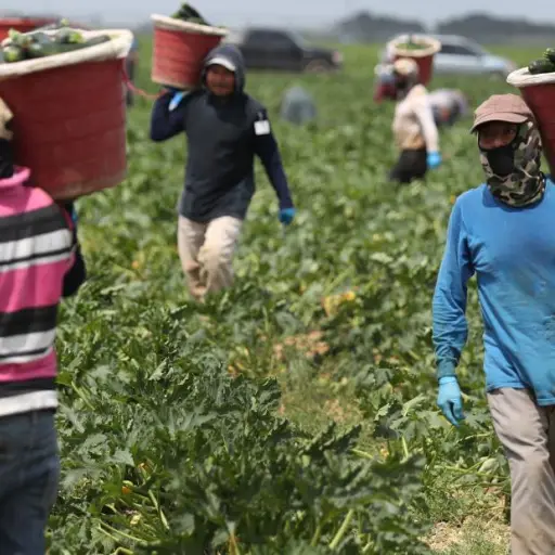 inmigrantes-estados-unidos-pandemia-coronavirus ,