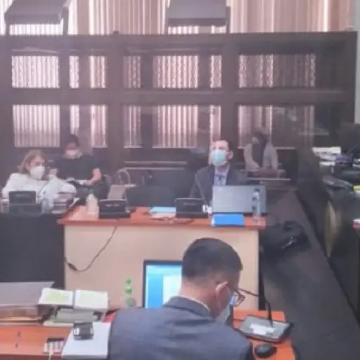 Audiencia-la-linea-consolidadores ,