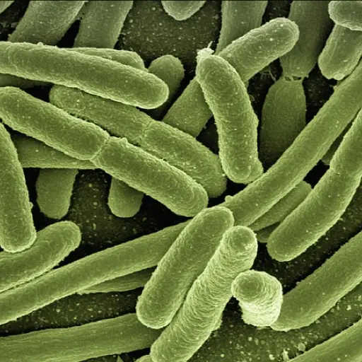 Imagen con fines ilustrativos | pixabay.com