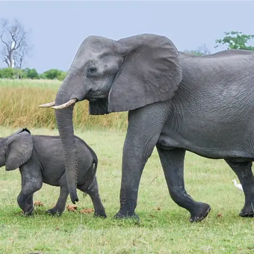 Imagen con fines ilustrativos | pixabay.com