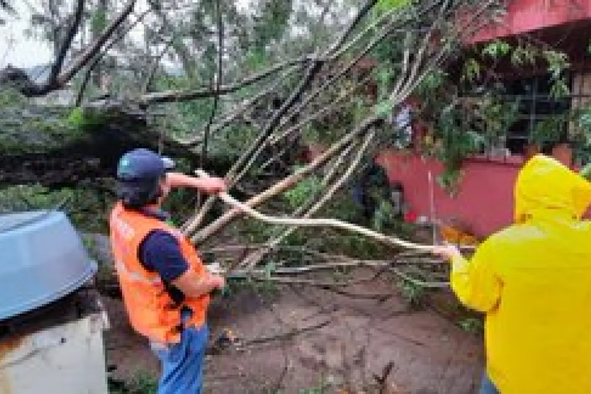 La Conred presentó los primeros daños que causó , 