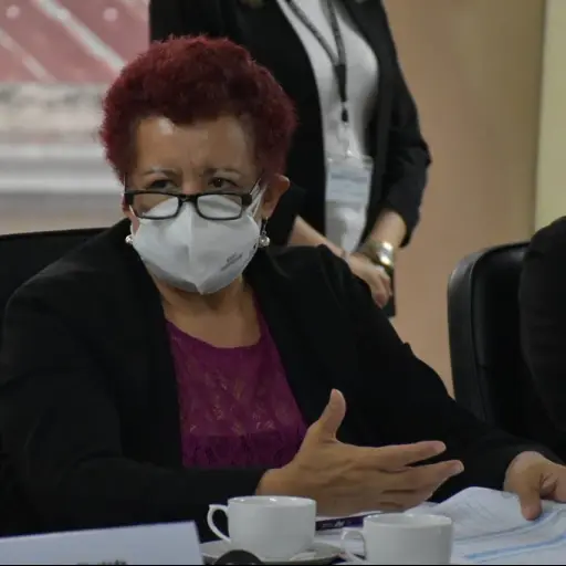 Ministra de Salud-Amelia Flores ,