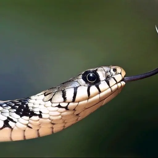 Imagen con fines ilustrativos | pixabay.com