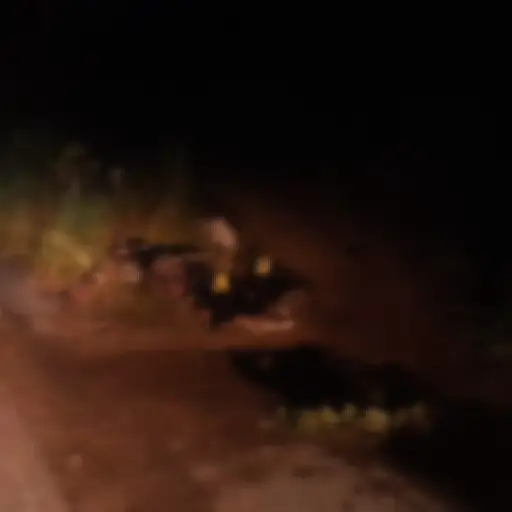 Foto: Ministerio Público