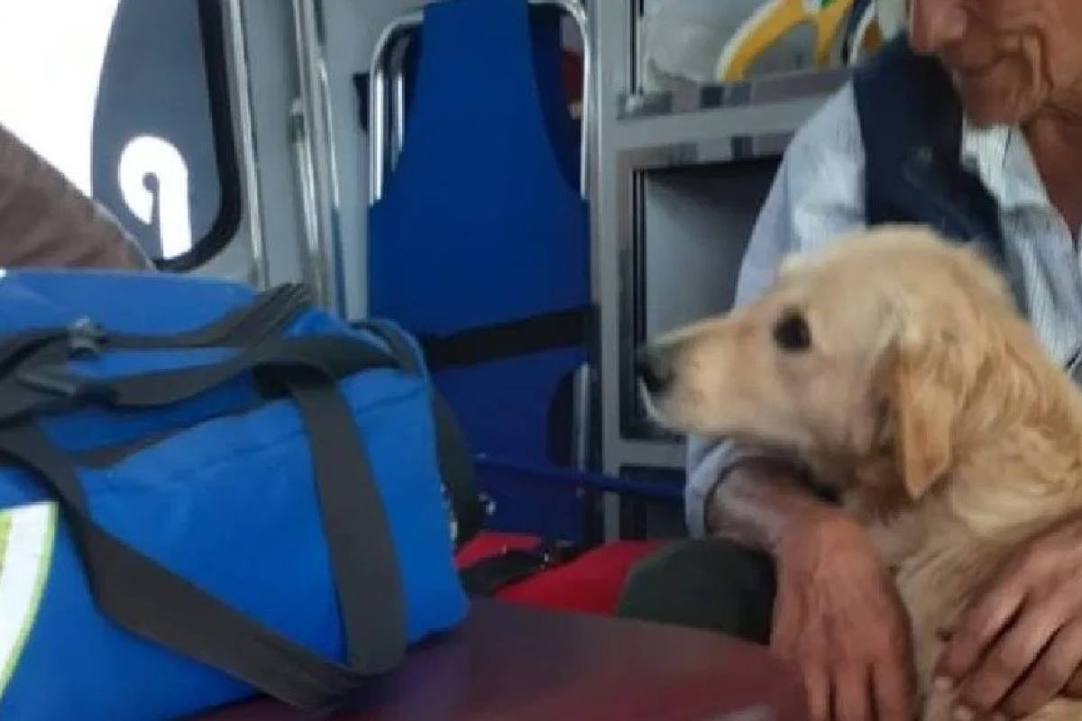 FOTO. Anciano se desmayó y su perrito lo cuidó a bordo de la ambulancia