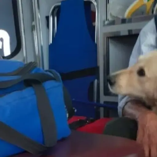 Facebook / Municipio de Pedro Escobedo