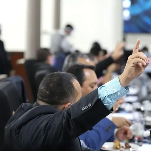 diputados-carta-pleno ,