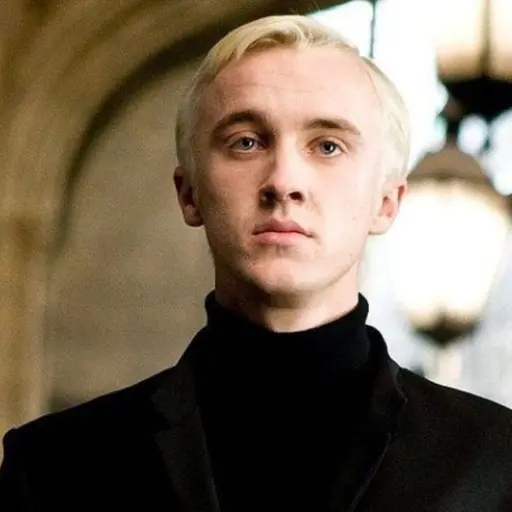 Draco Malfoy Harry Potter ,