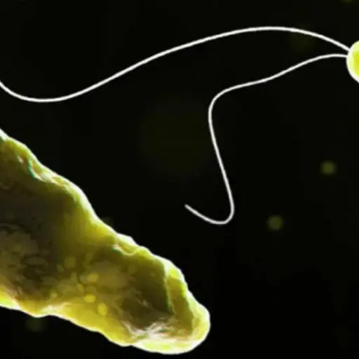 Sociedad Internacional de Enfermedades Infecciosas