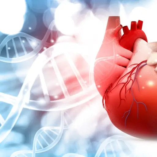 utiliza-tu-corazon-para-llevar ,