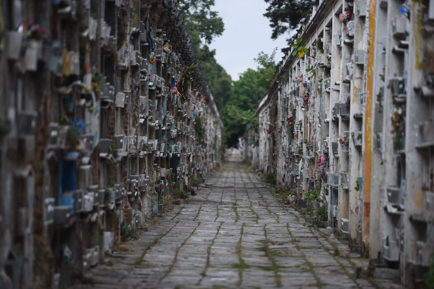 visitas-cementerios-dia-de-los-santos-emisoras-unidas7 | 