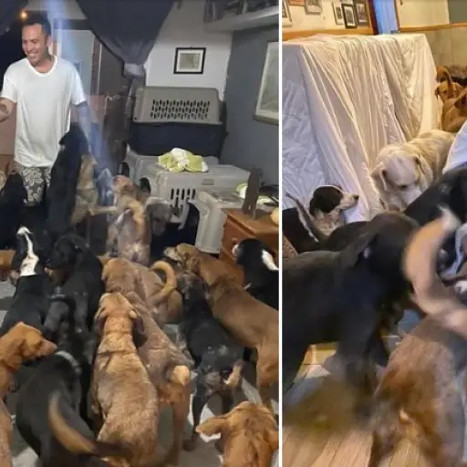 Facebook / Ricardo Pimentel Cordero