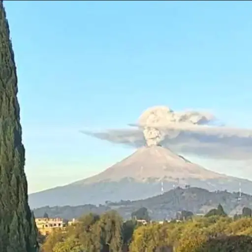 Twitter / @essmealvarez